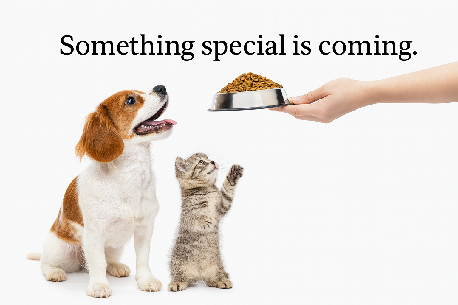 ChatGPT Image Jul 24, 2025, 10_54_16 AM